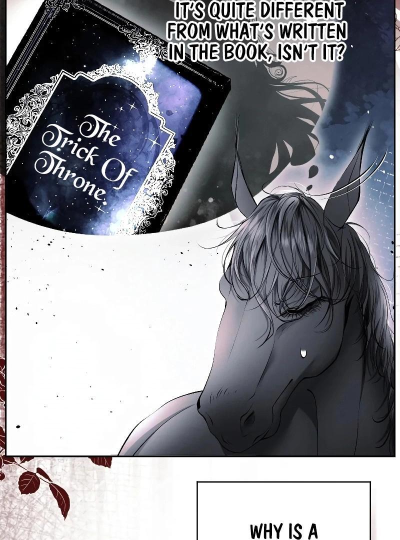 74288290 800 1080 138184